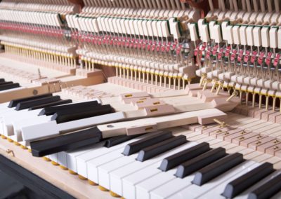 Feurich 122 Universal Piano Keys Felts